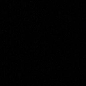 Meet your Posher, Bryce